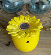 Charger l'image dans la galerie, Bruleur Fondants : Tournesol
