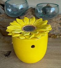 Charger l'image dans la galerie, Bruleur Fondants : Tournesol