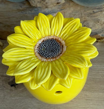 Charger l'image dans la galerie, Bruleur Fondants : Tournesol