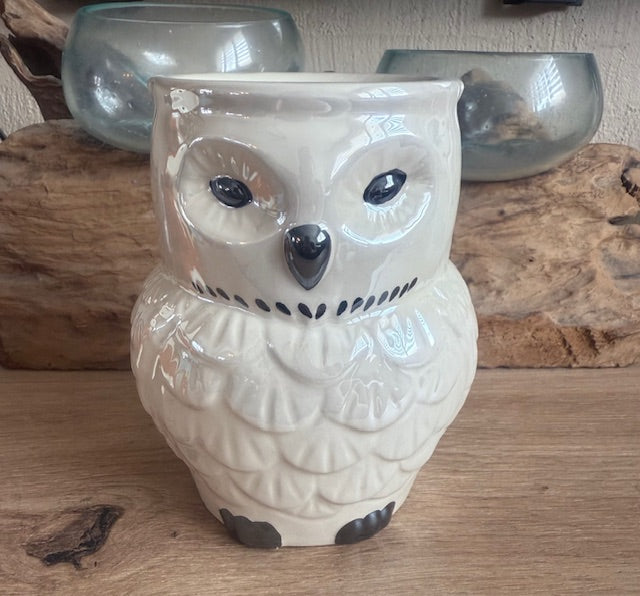 Bruleur Fondants : Hibou Irisé